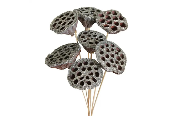 LOTUS POD STAKE/7 SILVER GLITTER