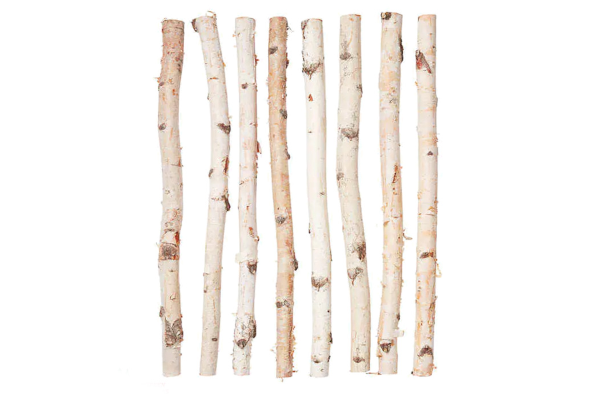 BIRCH POLE 5� SHARPENED END