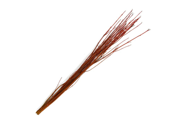 DOGWOOD 5-7�/10 CARDINAL