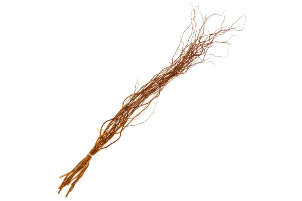 CURLY WILLOW 6�+ /3 TO 4 STEMS