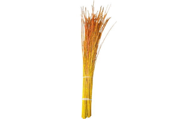 FLAME WILLOW 4-6�/15 STEMS