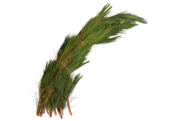 RED PINE LARGE BOUGH