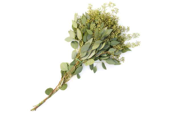 SEEDED EUCALYPTUS NATURAL 2LB BOUGH