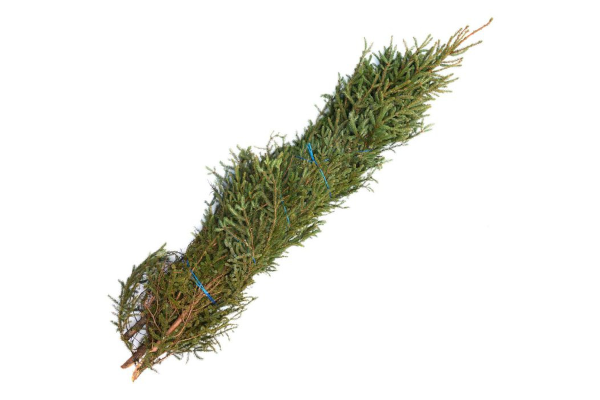 KING SIZE SPRUCE TIP BUNDLE 4-5'+ (5/BUNDLE)