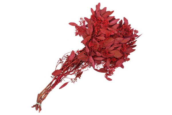 SEEDED EUCALYPTUS RED 2LB BOUGH