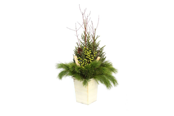 DELUXE DOOR STEP CHARMER SPRUCE TIP POT - SQUARE WHITE