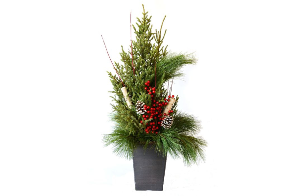 DELUXE DOOR STEP CHARMER SPRUCE TIP POT - SQUARE