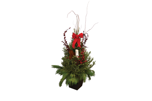 GRAND ENTRANCE SPRUCE TIP POT