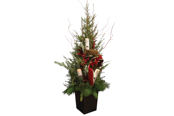 CHRISTMAS SPIRIT SPRUCE TIP POT