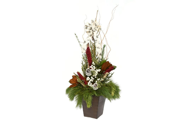 GRANDE ENTRANCE SPRUCE TIP POT - WHITE ACCENT