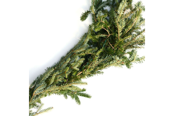 GARLAND FRASER FIR ROPING 25�
