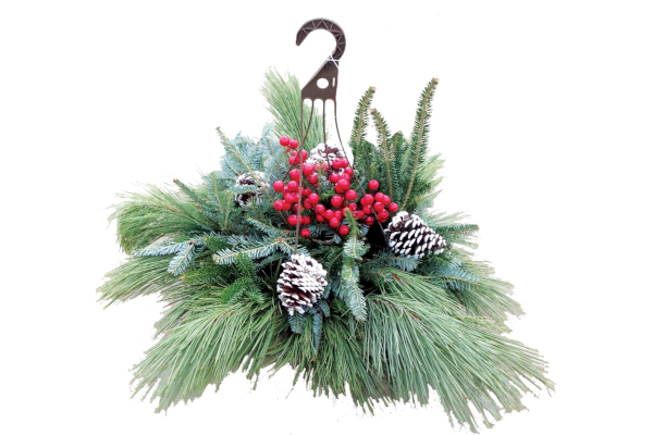 HOLIDAY HANGING BASKET