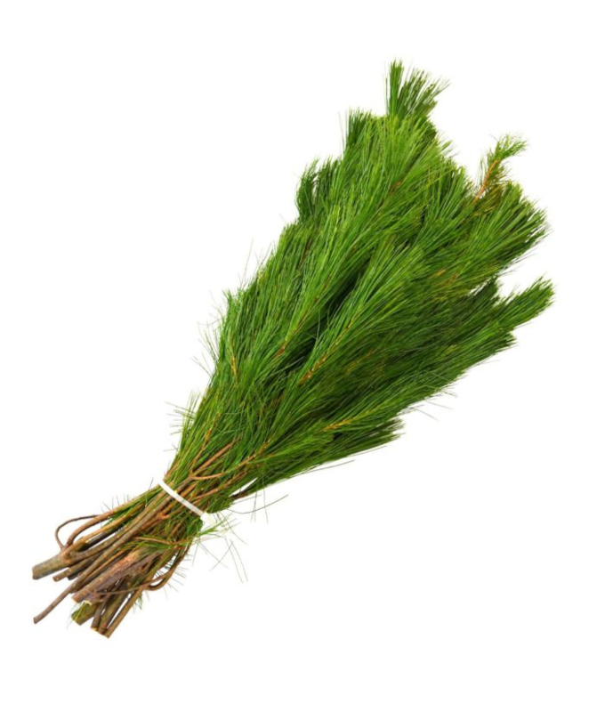 WHITE PINE 2LB BOUGH
