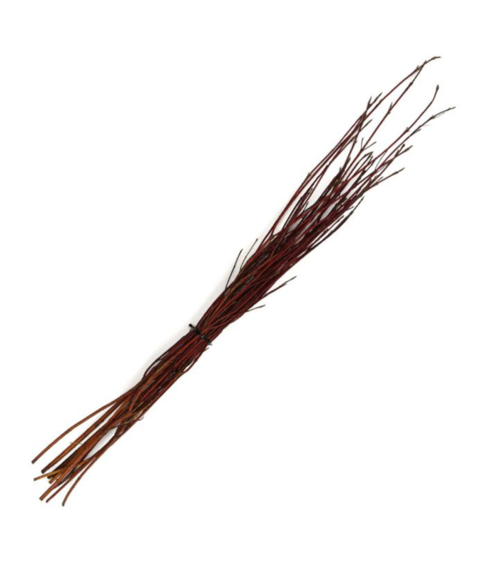 DOGWOOD 3-4� RED TWIG (25 COUNT)