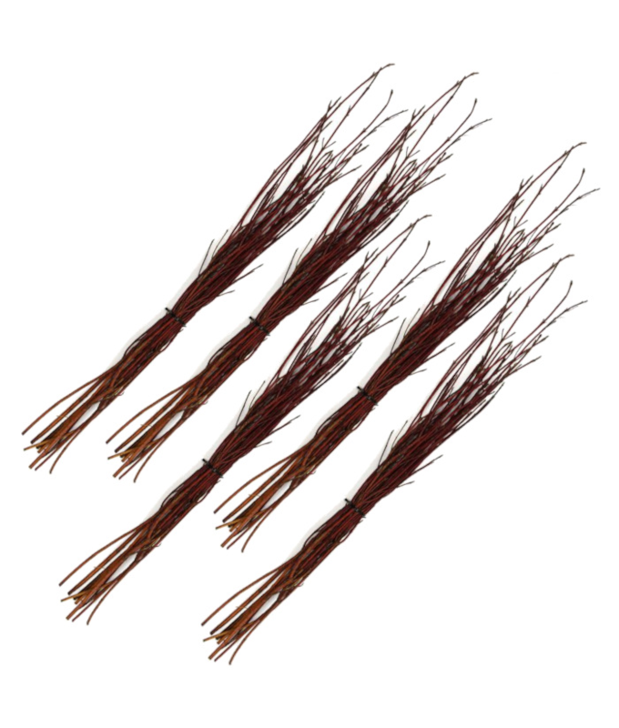 REDTWIG DOGWOOD BULK (100/BUNDLE)