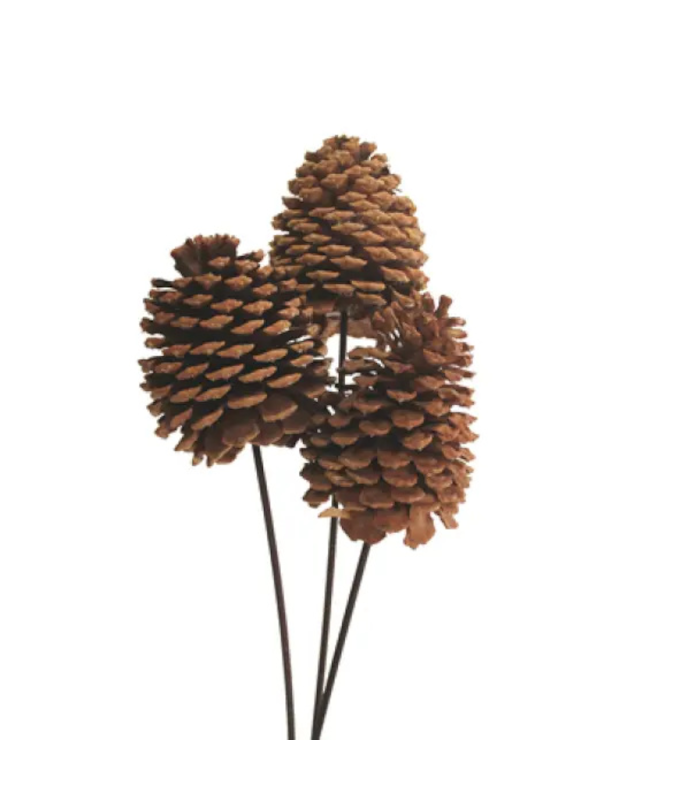 JEFFREY CONE STAKE NATURAL