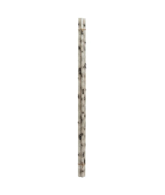 BIRCH BRANCH 36-48" PAINTED WHITE