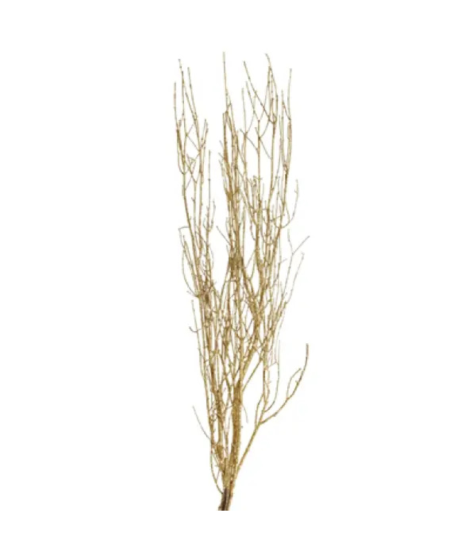 BIRCH BRANCH 36-48"/25 GOLD GLITTER