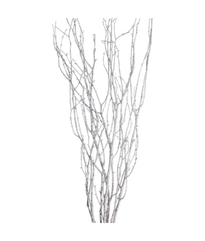 BIRCH BRANCH 36-48"/25 SILVER GLITTER