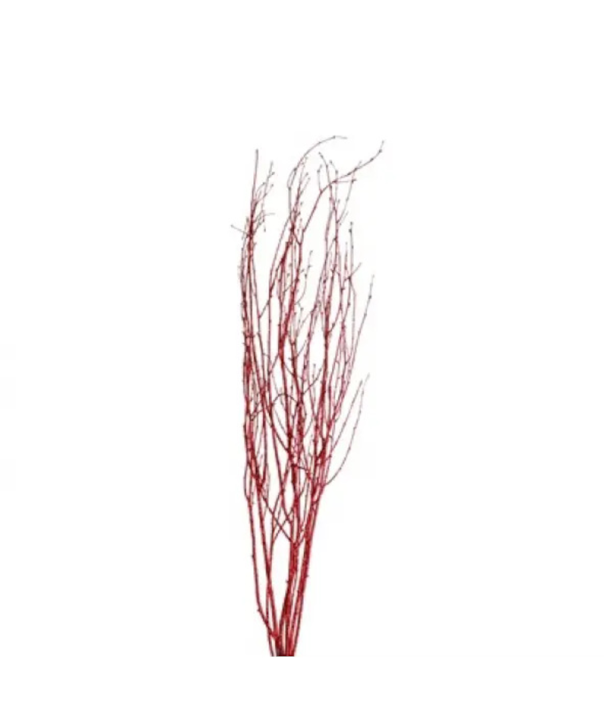 BIRCH BRANCH 36-48"/25 RED GLITTER
