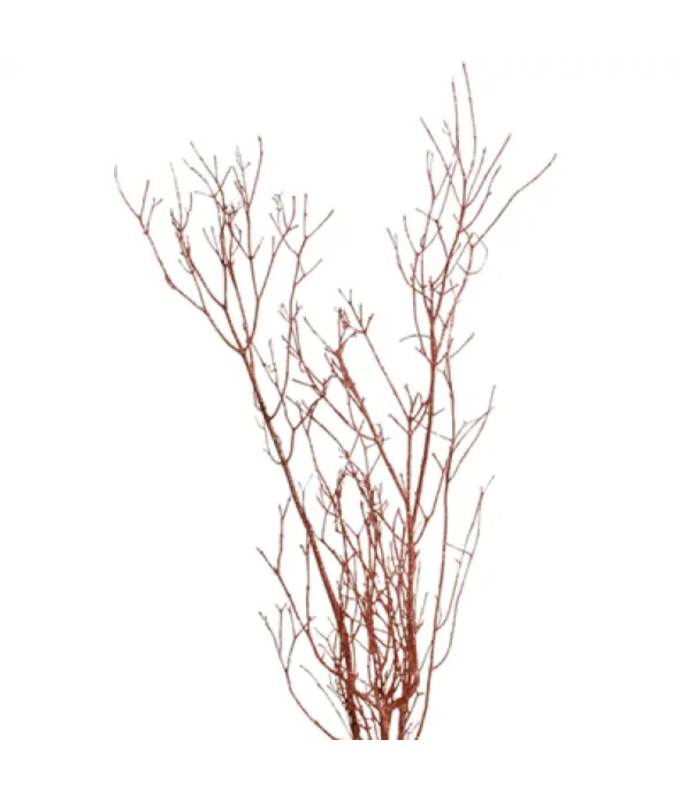 BIRCH BRANCH 36-48"/25 COPPER GLITTER