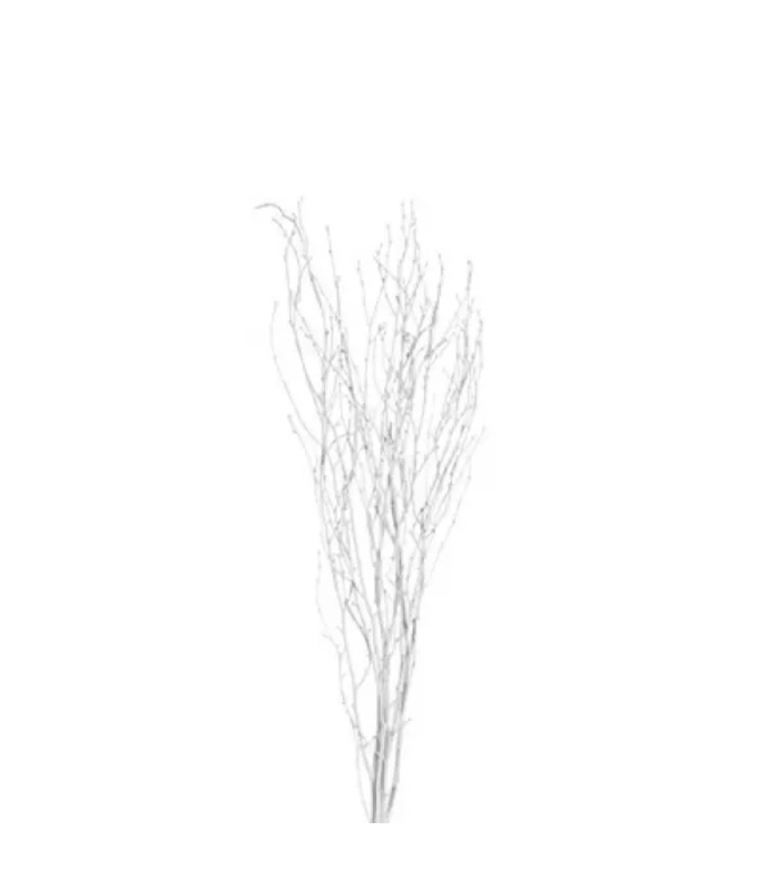 BIRCH BRANCH 36-48"/25 WHITE GLITTER