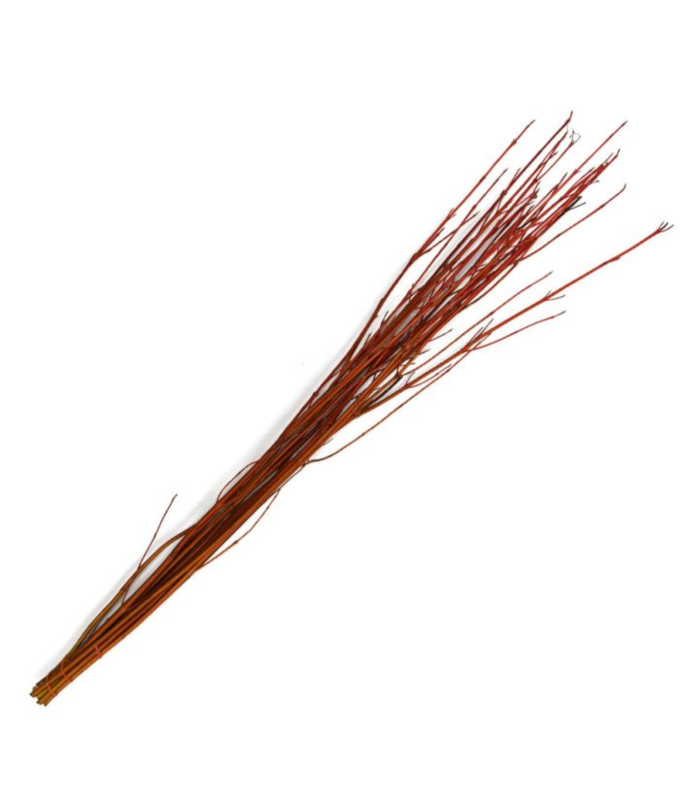 DOGWOOD 5-7�/10 CARDINAL