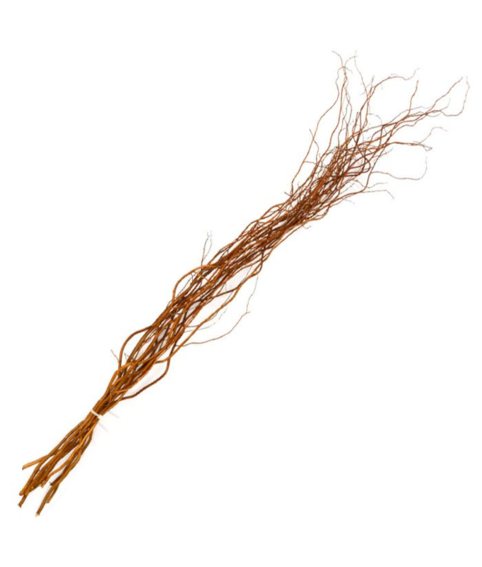 CURLY WILLOW 6�+ /3 TO 4 STEMS