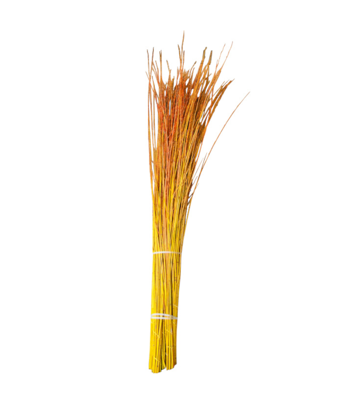FLAME WILLOW 4-6�/15 STEMS