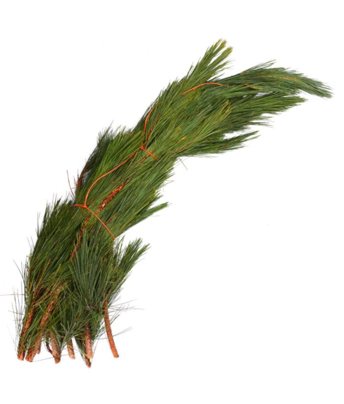 RED PINE LARGE BOUGH