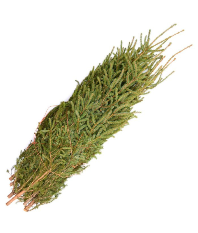 LARGE SPRUCE TIP BUNDLE 3-4' (10/BUNDLE)