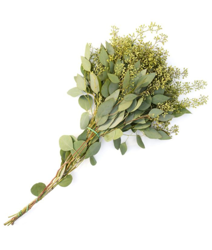 SEEDED EUCALYPTUS NATURAL 2LB BOUGH