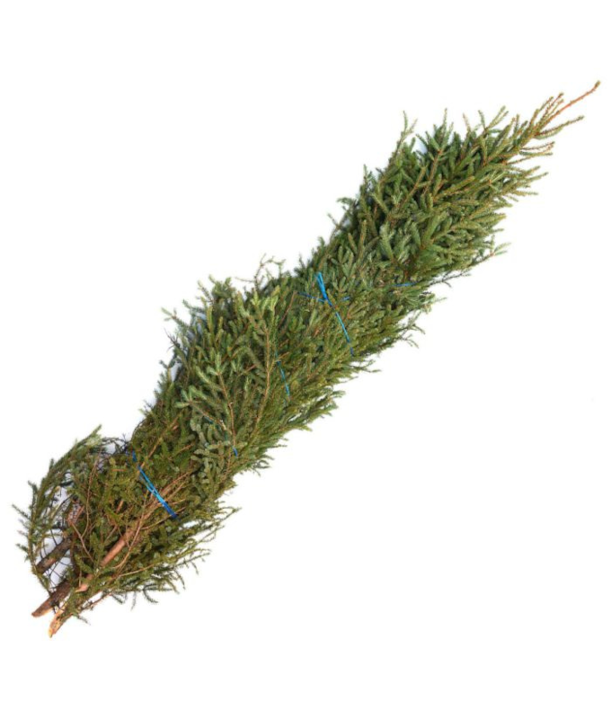 KING SIZE SPRUCE TIP BUNDLE 4-5'+ (5/BUNDLE)