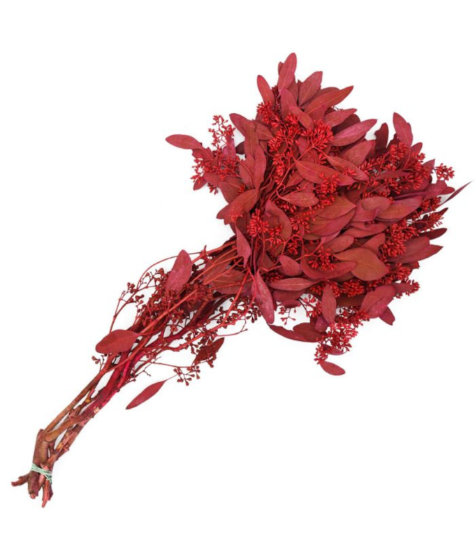 SEEDED EUCALYPTUS RED 2LB BOUGH