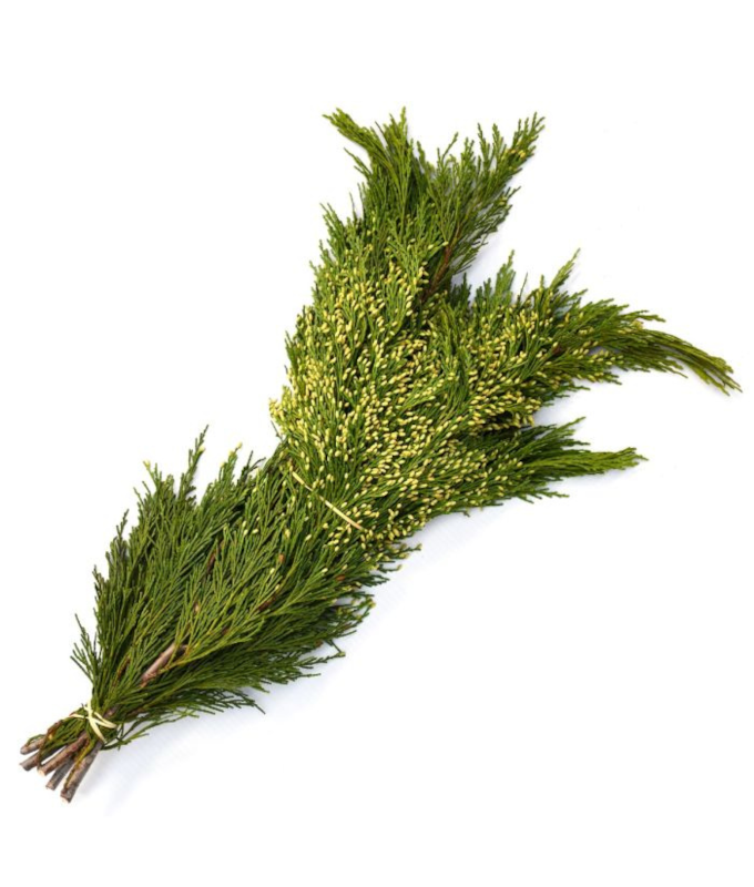 INCENSE CEDAR 2LB BOUGH