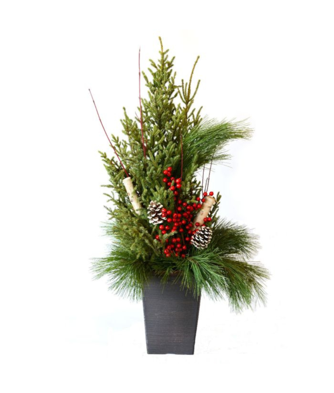 DELUXE DOOR STEP CHARMER SPRUCE TIP POT - SQUARE