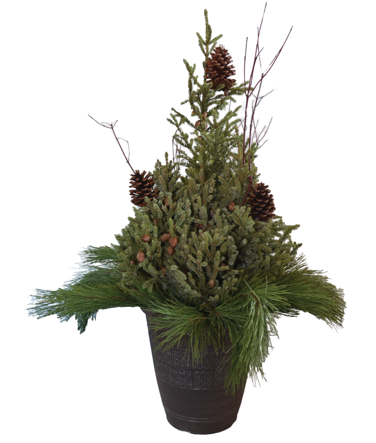 NORTHWOODS SPRUCE TIP POT