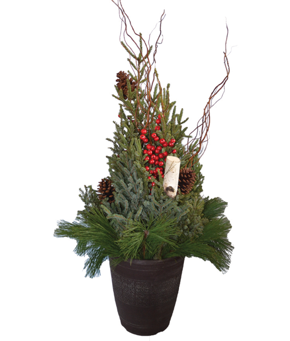 TRADITIONAL HOLIDAY SPRUCE TIP POT