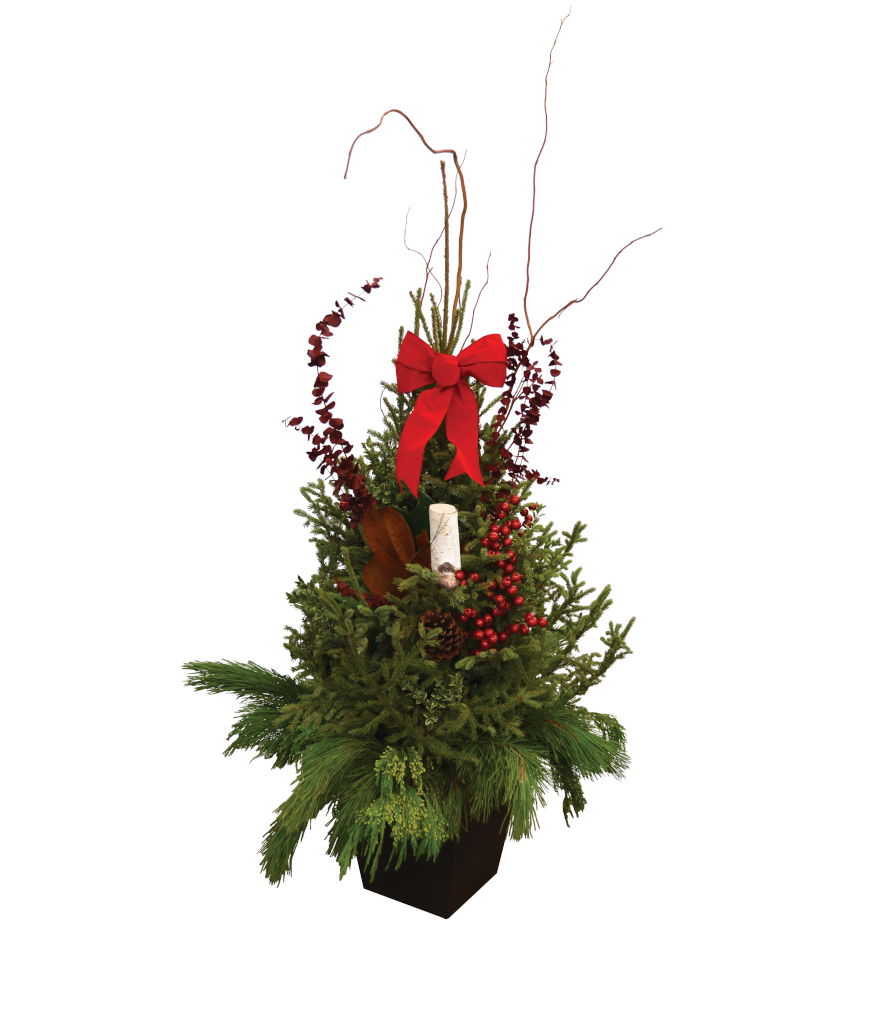 GRAND ENTRANCE SPRUCE TIP POT