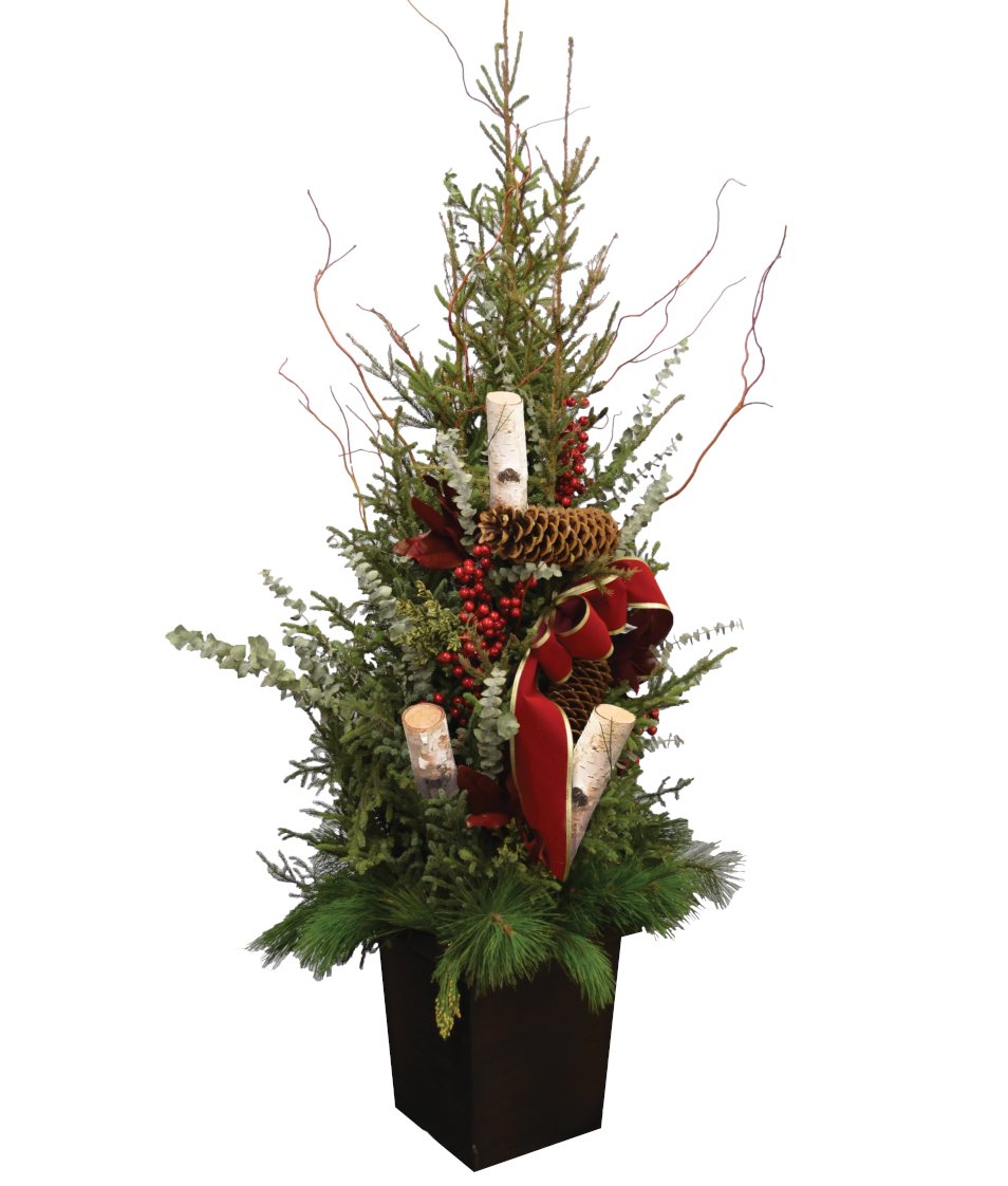 CHRISTMAS SPIRIT SPRUCE TIP POT