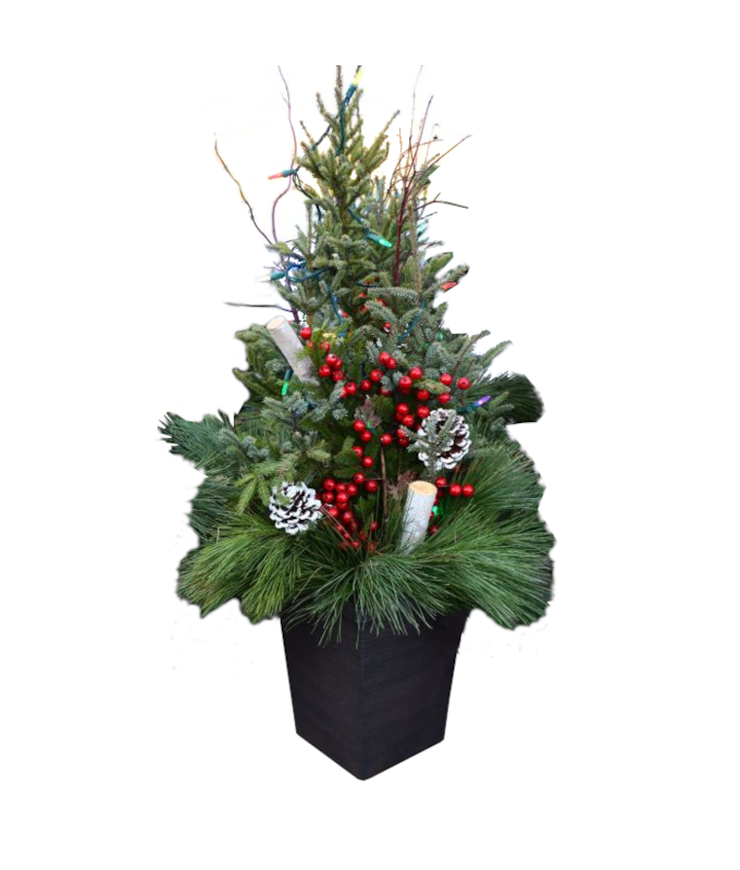 CHRISTMAS SPIRIT SPRUCE TIP POT - W/LIGHTS