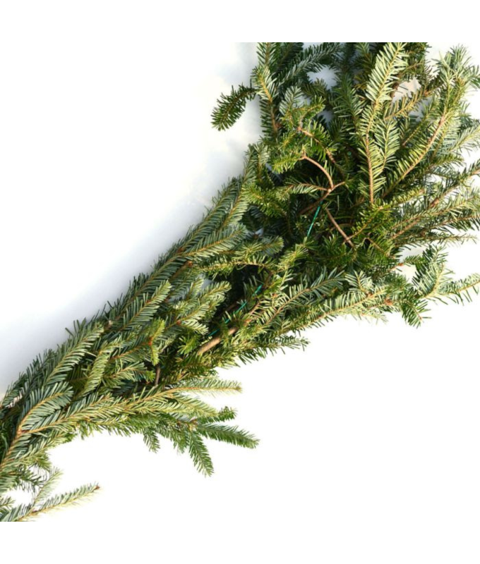 GARLAND FRASER FIR ROPING 25�