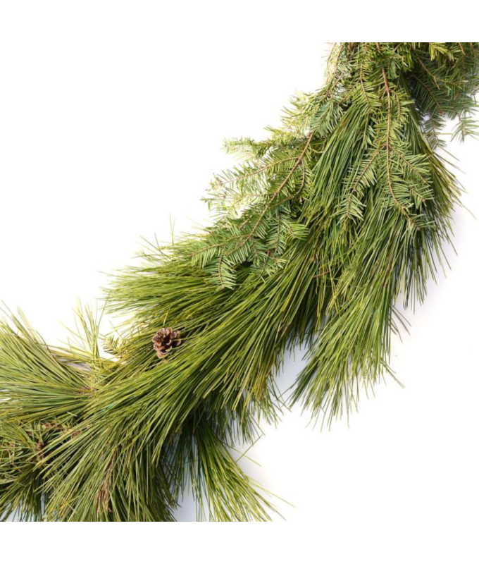GARLAND BALSAM/PINE 25�