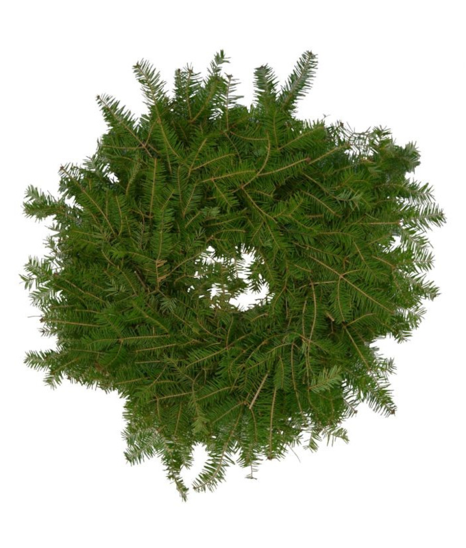 WREATH BALSAM 48"