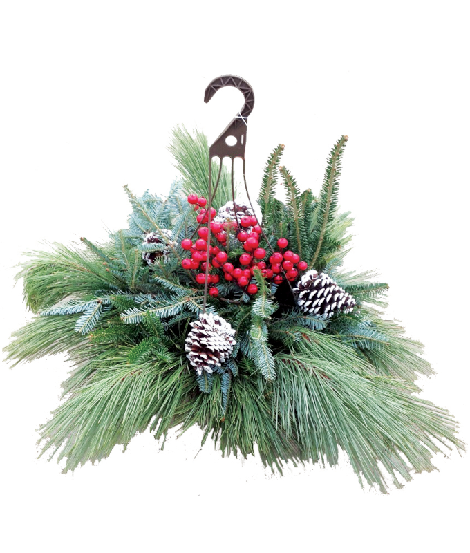 HOLIDAY HANGING BASKET