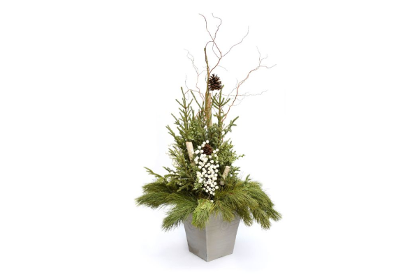 ELEGANT DESIGNER SPRUCE TIP POT - WHITE ACCENT