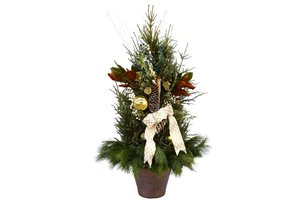 CHRISTMAS SPIRIT SPRUCE TIP POT - WHITE & GOLD