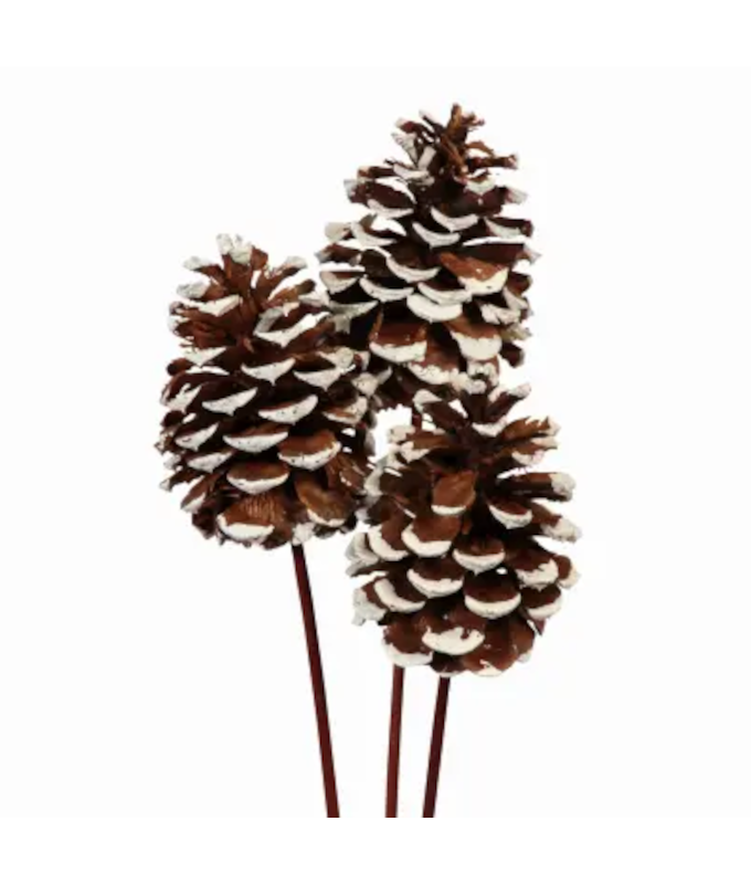 PONDERSA CONE STAKE WHITE TIPPED