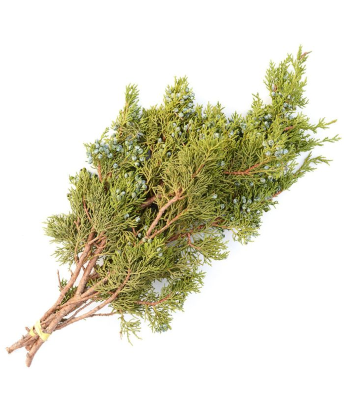 JUNIPER OREGON 25LB. CASE