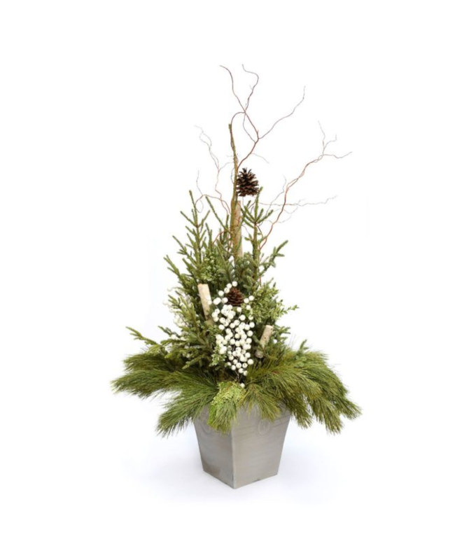ELEGANT DESIGNER SPRUCE TIP POT - WHITE ACCENT
